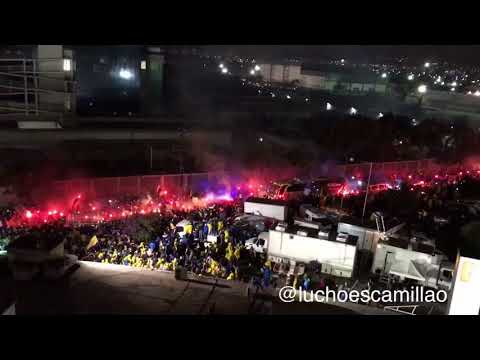 "Libres y lokos" Barra: Libres y Lokos &bull; Club: Tigres