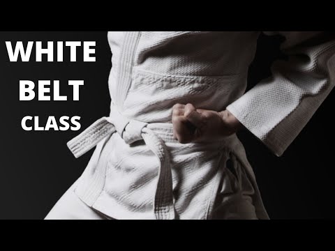 Taekwondo Follow Along Class - White Belt - Lesson 2