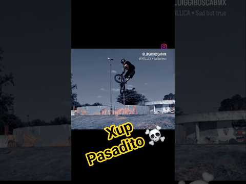 lujanpark bmx freestyle luiggiboscabmx buenos aires lujan