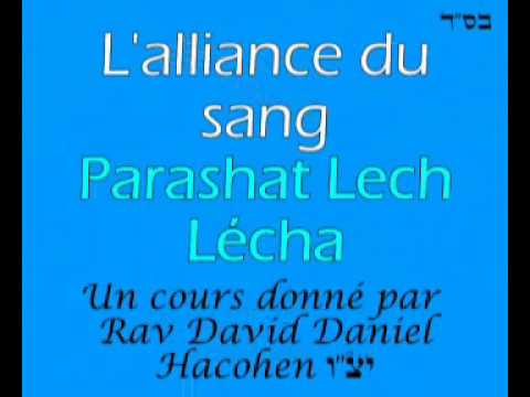 Lech Lecha 5771 - L'alliance du sang