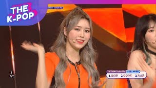 MOMOLAND, I&#39;m So Hot [THE SHOW 190326]