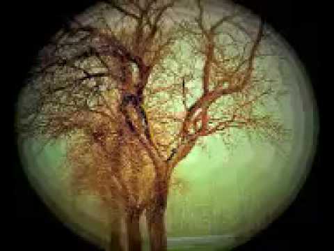 Txhob Dag Kuv Lwg Siab