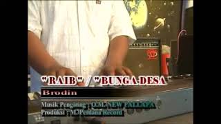 Download lagu New Pallapa - Raib / Bunga desa ( KARAOKE ) mp3 Download lagu New Pallapa - Raib / Bunga desa ( KARAOKE ) mp3