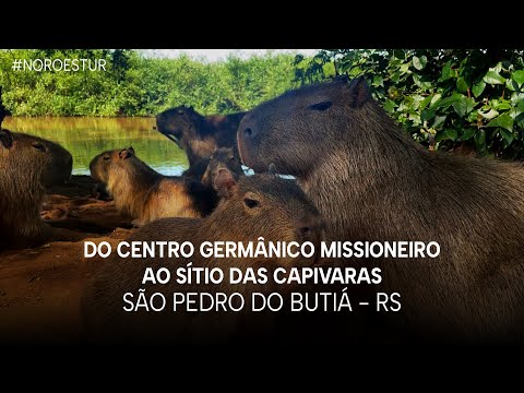 NOROESTUR – T1 E45 | Do Centro Germânico Missioneiro ao Sítio das Capivaras - São Pedro do Butiá/RS