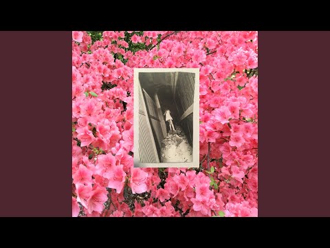 The Garden of Earthly Delights