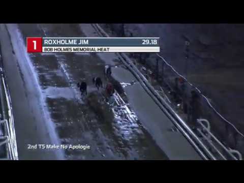 2019 BOB HOLMES MEMORIAL - HEAT 2 - T1 ROXHOLME JIM