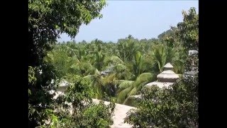  2014-02-03 The Temple, Chapora