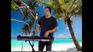 Banks Of The Ohio by Olivia Newton John (Cover)