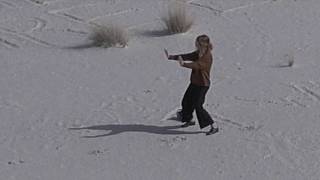 Félicia Atkinson "Adaptation Assez Facile" (SP081)