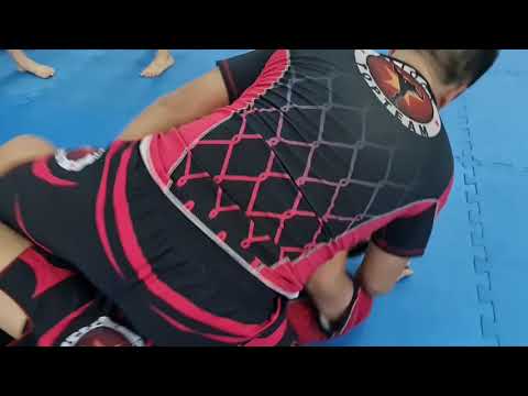 Vo tu ve ( Làm Tê Liệt Đối Phương Khi Xuống Đất )