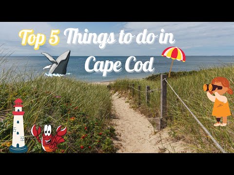 5 Things to Do in Cape Cod for Your Next Great Adventure
