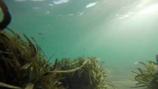 Depths (Βάθη) - an underwater chillout video (GoPro)