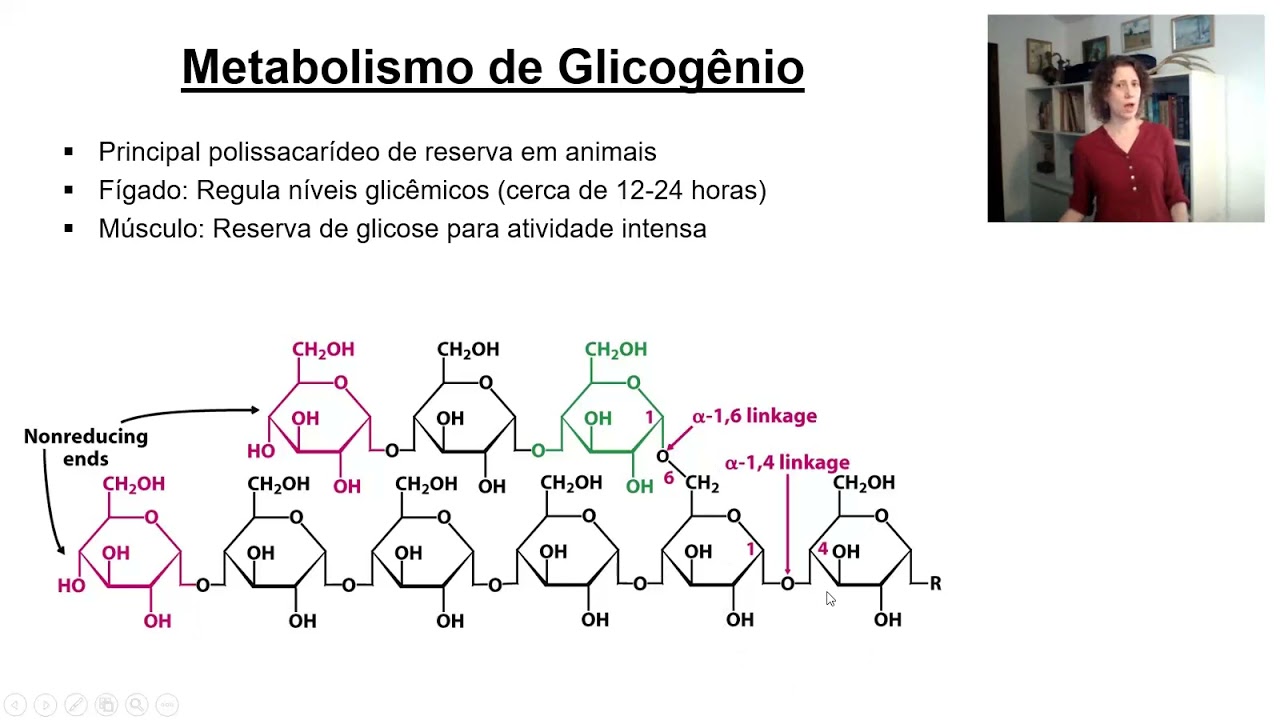 Metabolismo de glicogênio