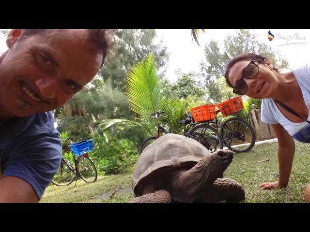 Video - Image - Ferragosto alle Seychelles!