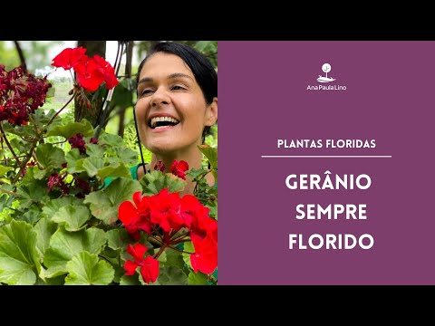 , title : 'PLANTAS FLORIDAS: Como plantar e cuidar de Gerânio?'