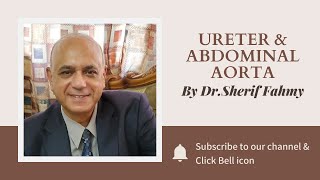 Dr. Sherif Fahmy - Ureter & Abdominal Aorta