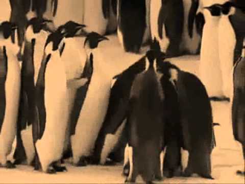 Erhard Bauschke - Pinguin Swing (German swing 1938)
