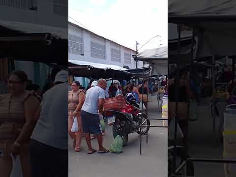 Feira livre de Viçosa AL 24/01/26