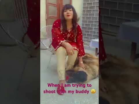 Isa kasay trained kron🥲🤕 #germanshepherd #germanshepherddog #buddy #doglover #petlover #ytshorts