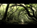 Vidna Obmana - Trail Dwelling