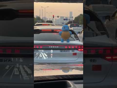 Best Way To Stop Tailgaters! #tailgating #2024 #funny