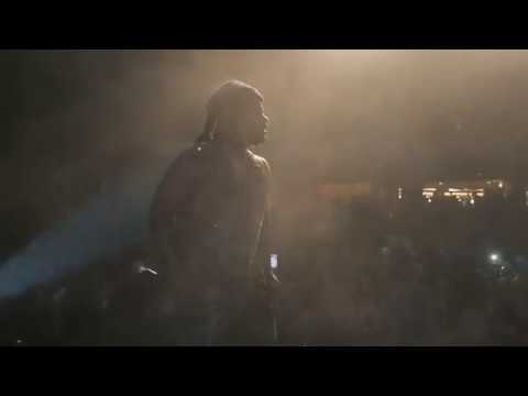 Carmouflage Rose I Sydney, AU