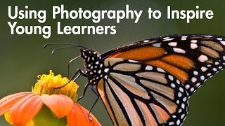 Part 2: Using Photography to Inspire Young Learners