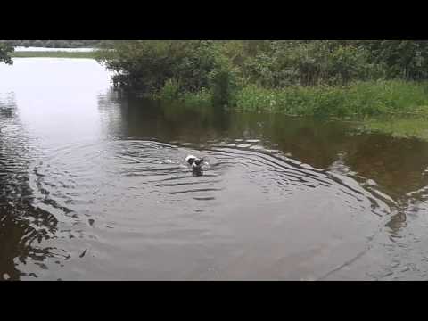 Hochwasser kann auch Spaß machen
