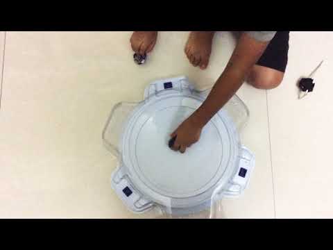 Wild Wyvern vs dark doomscizor