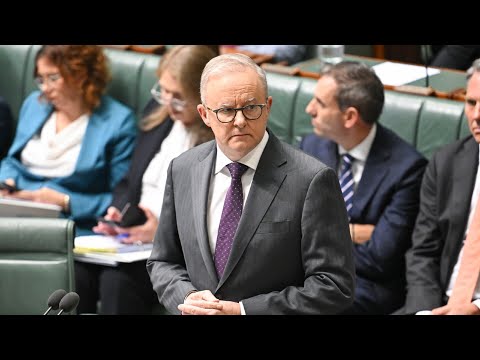 ‘Nobody ever voted for this’: Labor’s reckless immigration levels