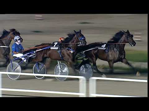 Napoli Trotto 21/07/2023 - 7ª corsa