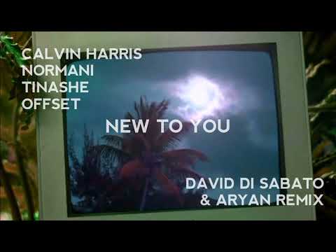 Calvin Harris, Normani, Tinashe & Offset - New To You (David Di Sabato & Aryan Remix)