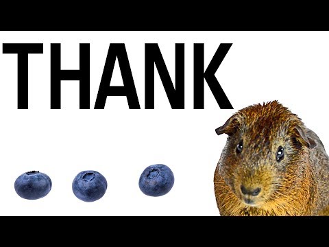 Triple Funded: Third Blueberry