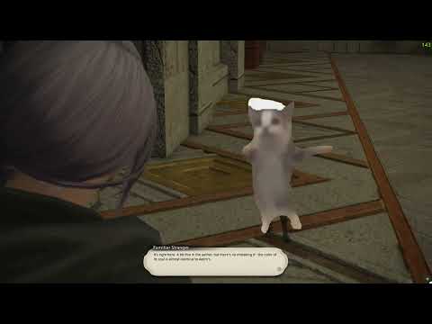 (Spoilers for FFXIV) Miqo'te jumping at the sight of Hythlodaeus and Emet-Selch.