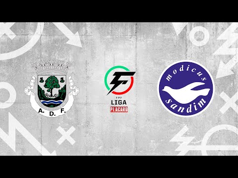 Liga Placard, 6ª jorn: AD Fundão 3-2 Modicus Cartest