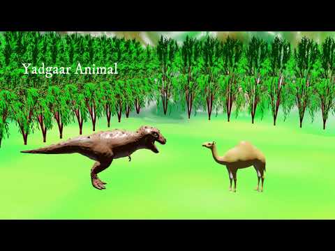 Wooly camel T rex Dinasour Dinasour and camel fight