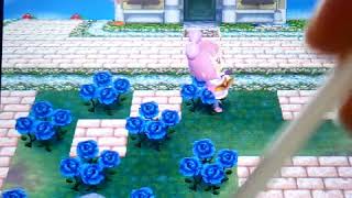 【とび森】永住住民と呼ぶ住民の予定地決め【ゲーム実況】