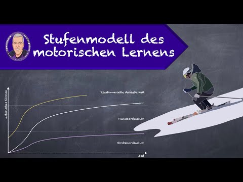 Stage model of motor learning