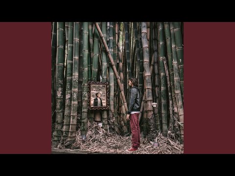 Espelho video