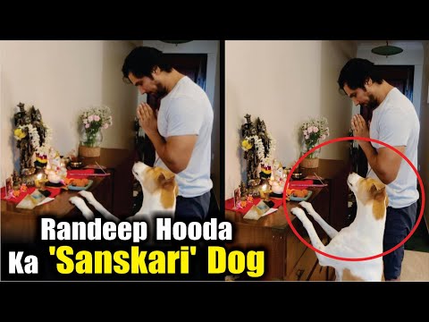 Randeep Hooda's pet dog striking a 'sanskari' pose is the cutest thing you'll see on Internet today