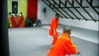 kungfu fighting karl moestl rmx.qt