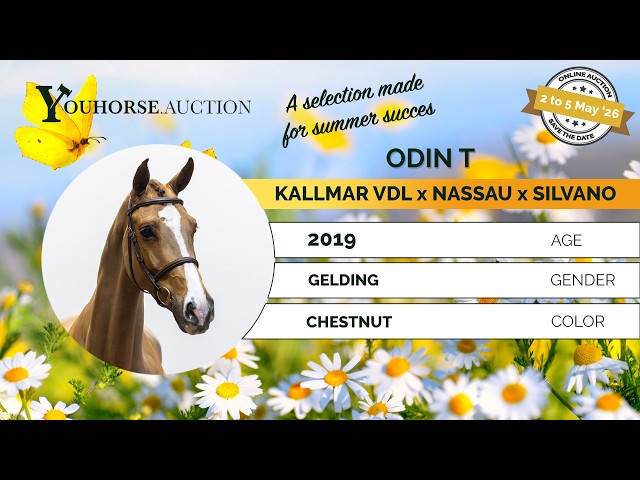 Odin T trainingsshow