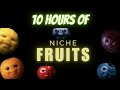 10 Hours Of Niche Fruit Eating Themselves