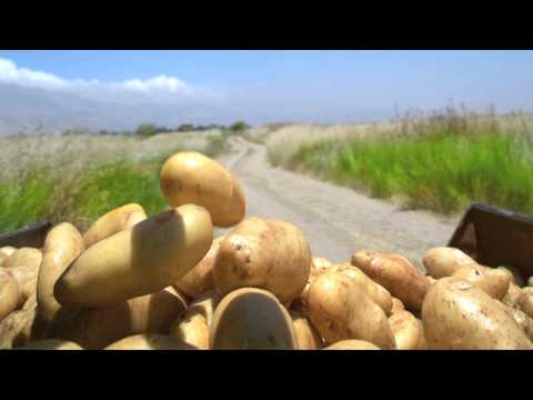 VivaCell-MTS supports the Armenian Agriculture 03