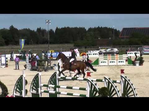 Gelding 9 Jahre Clearway X Cantus-160placed  T