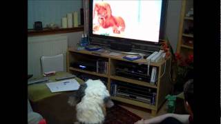 Teddy barking at toy story 2