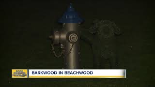 New dog park opens in Beachwood