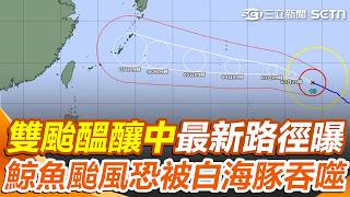 雙颱醞釀中「最新路徑」曝光！ 鯨魚颱風將生成「恐被強颱白海豚吞噬」｜三立新聞網 SETN.com