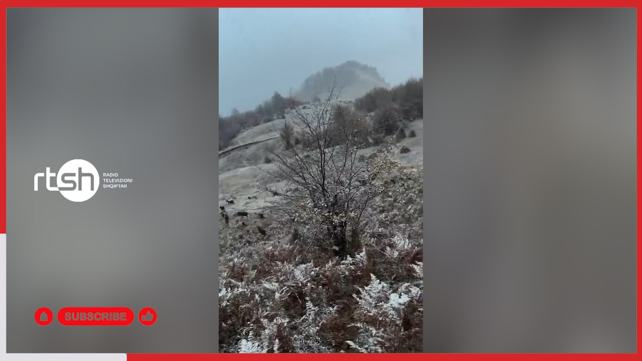 Dimri arrin në Mirditë, bjeshkët dhe majat e maleve zbardhen nga reshjet e para të dëborës