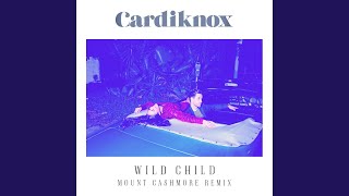 Wild Child (Mount Cashmore Remix)